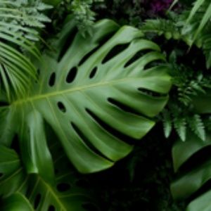 Meet your Posher, Le chic shop